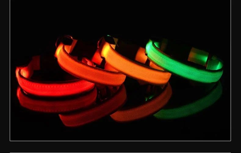 Coleira NEON estilosa para cães