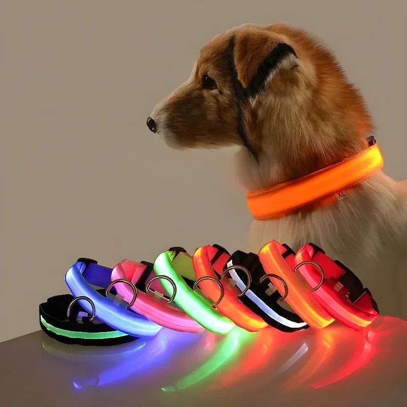 Coleira NEON estilosa para cães