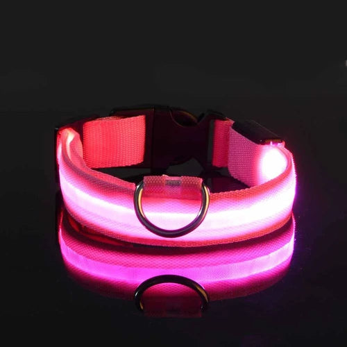 Coleira NEON estilosa para cães